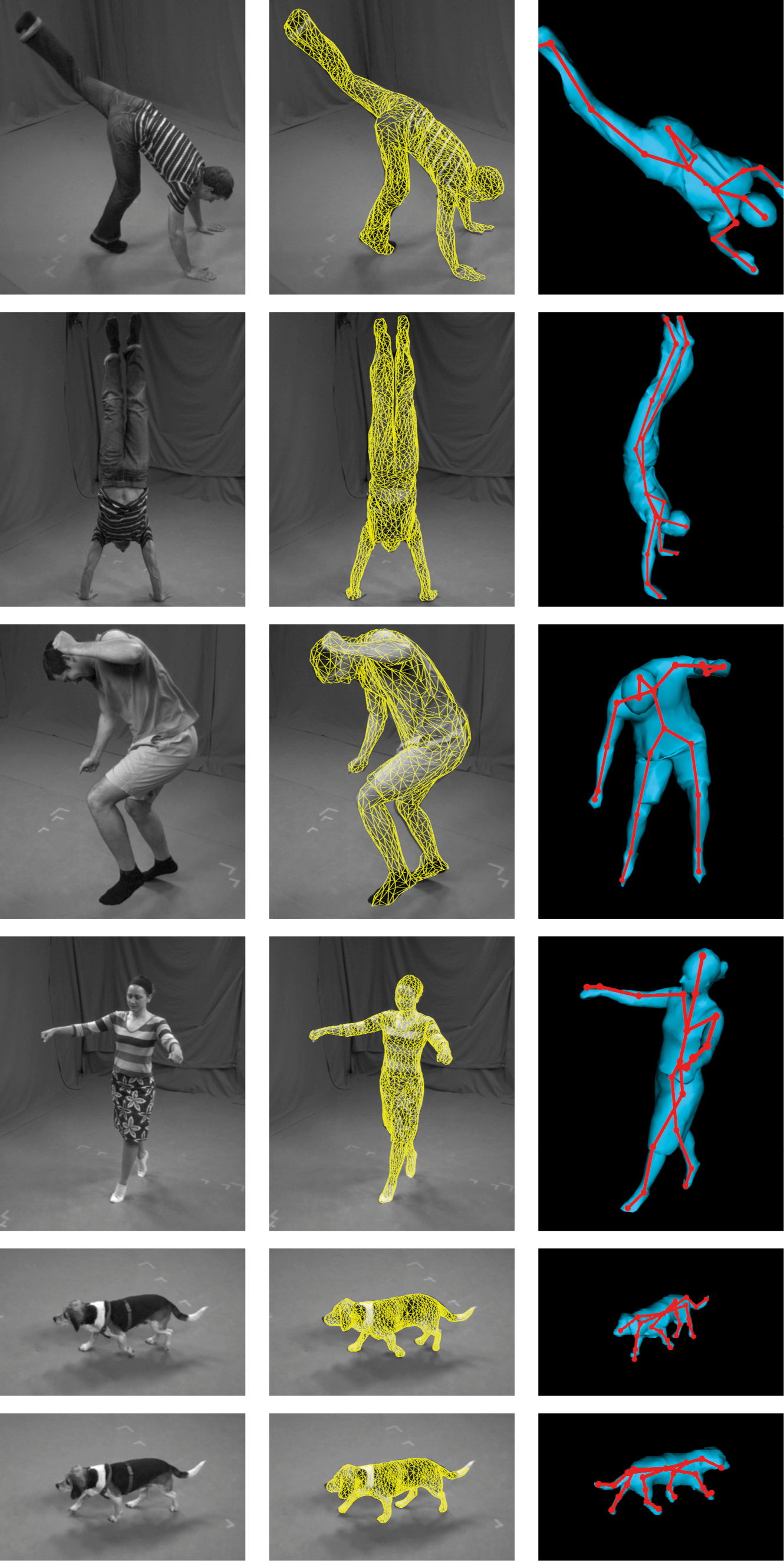 Motion Capture Using Joint Skeleton Tracking and Surface Estimation